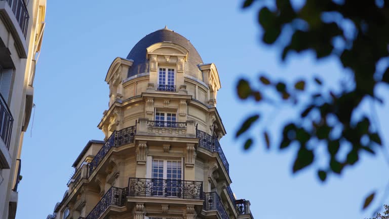 Quels sont les types de biens vendus par adjudication ?